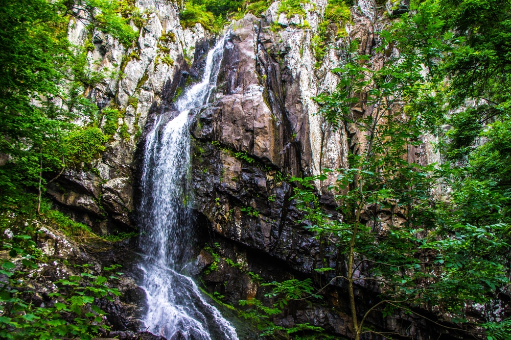 Boyana Waterfall