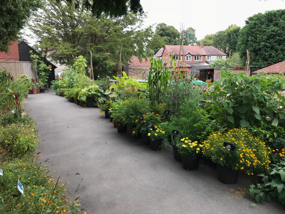 University of Bristol Botanical Garden