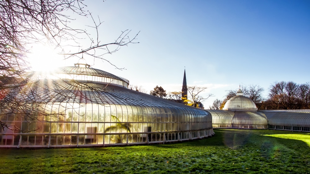 Glasgow Botanic Gardens