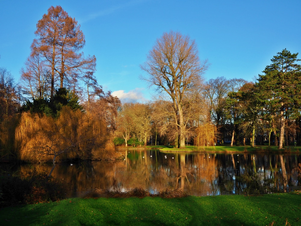 Wilhelminapark, Utrecht