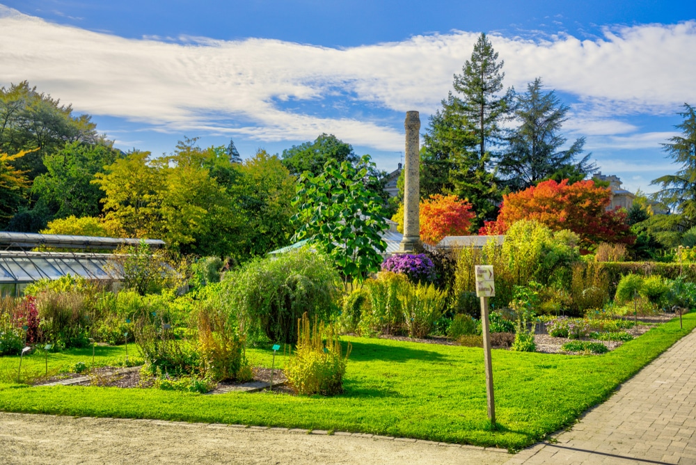 Botanical Gardens, Strasbourg