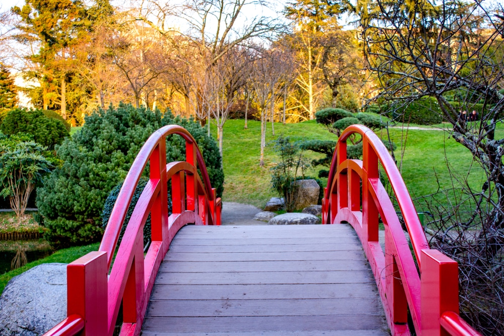 Pierre Baudis Jardin Japonais