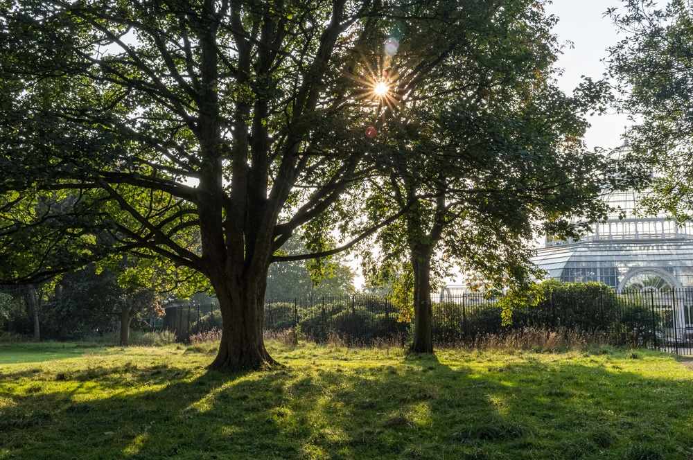 Sefton Park