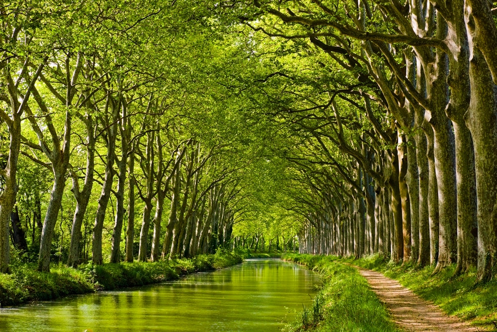 Canal du Midi, Toulouse