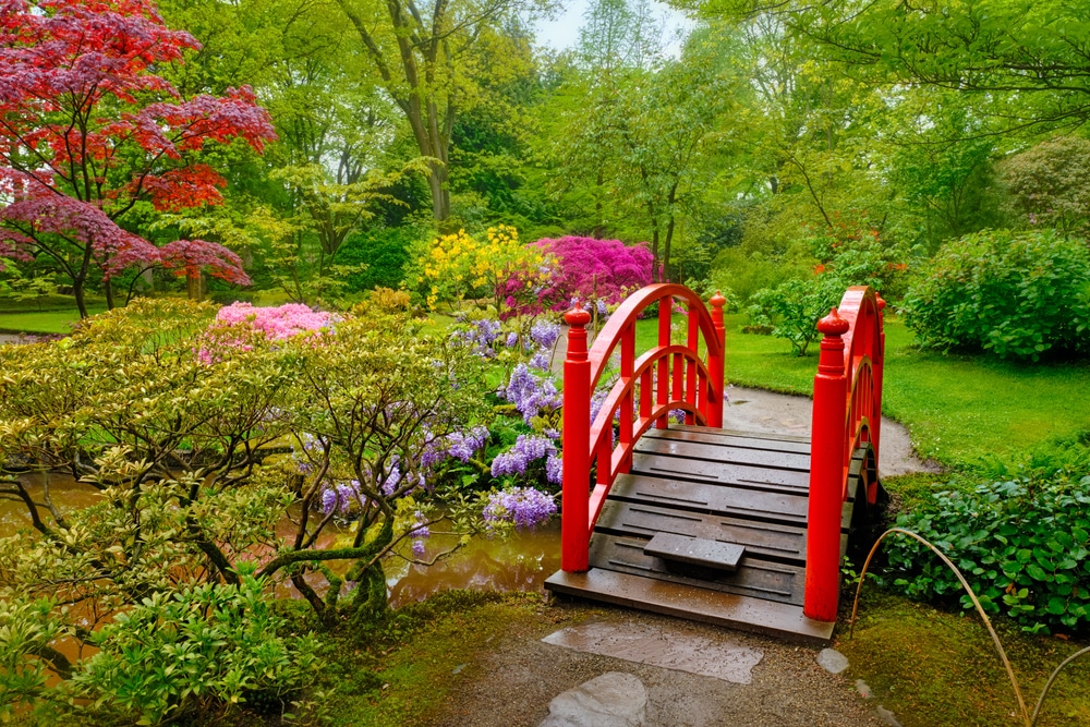 Japanese Garden, Clingendael Park