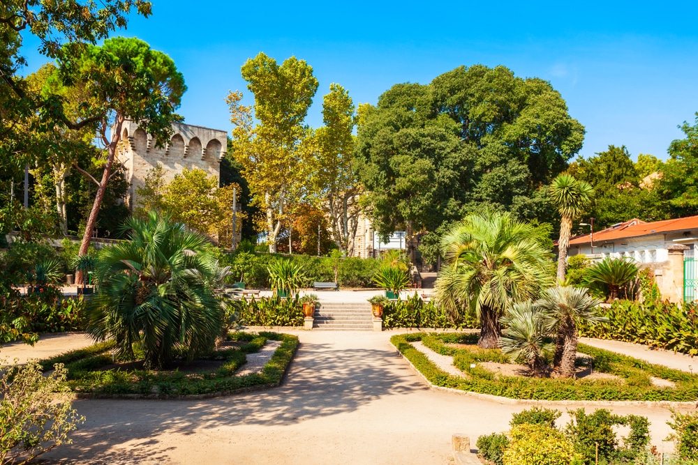 Jardin des plantes