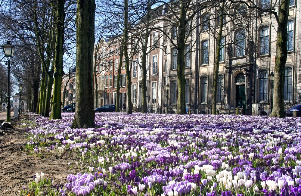 Lange Voorhout