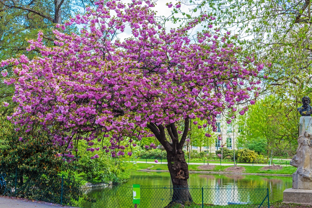 Botanical Gardens, Bordaux