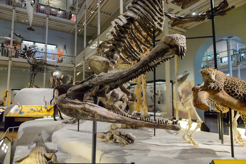 National Museum of Scotland