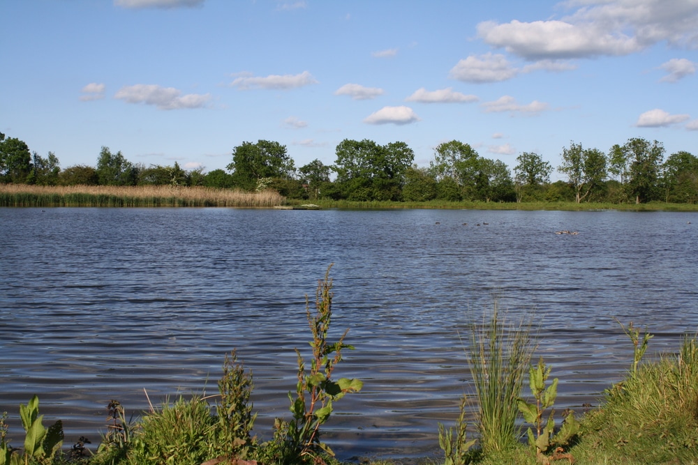 Watermead Country Park