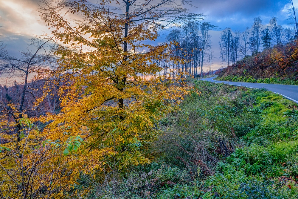 Nature Park Medvednica