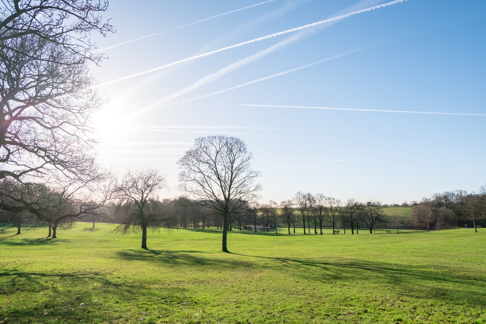 Roundhay Park