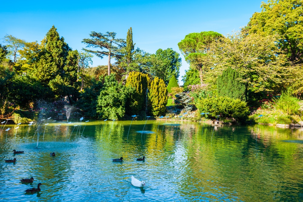 Jardin des Plantes