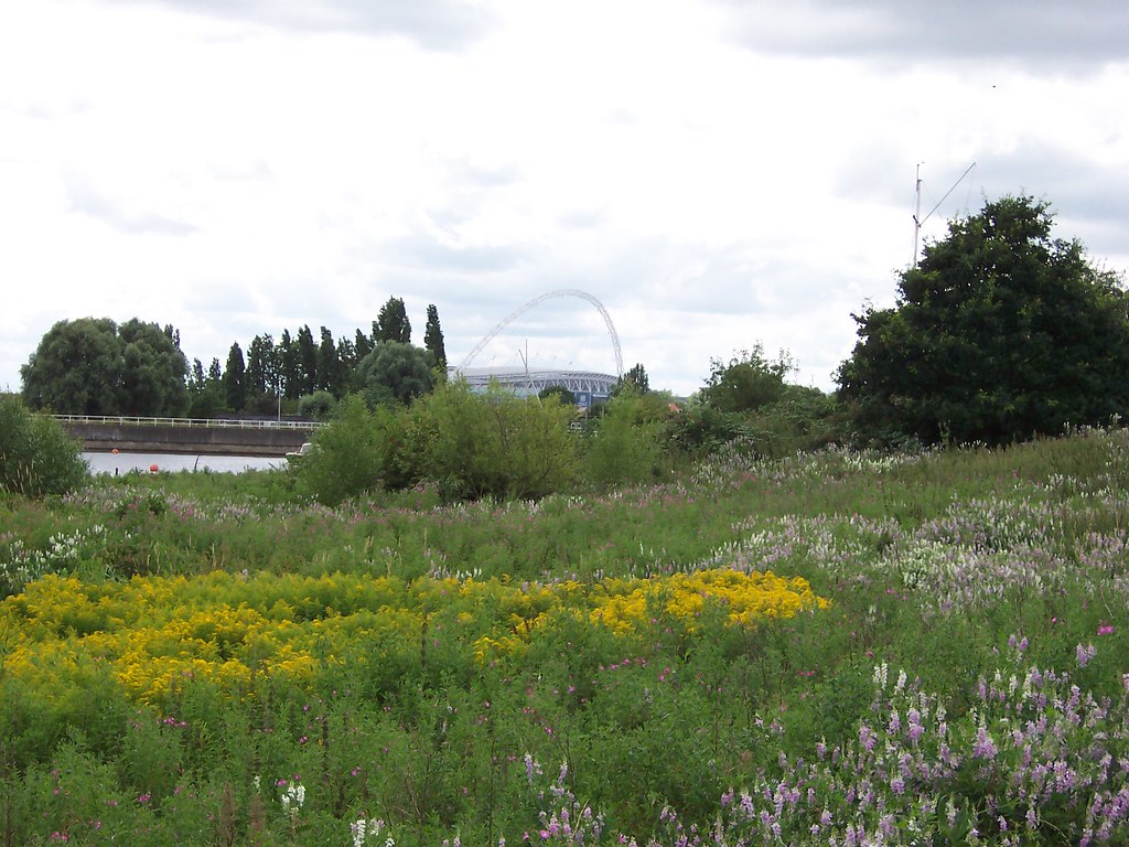 Welsh Harp Open Space