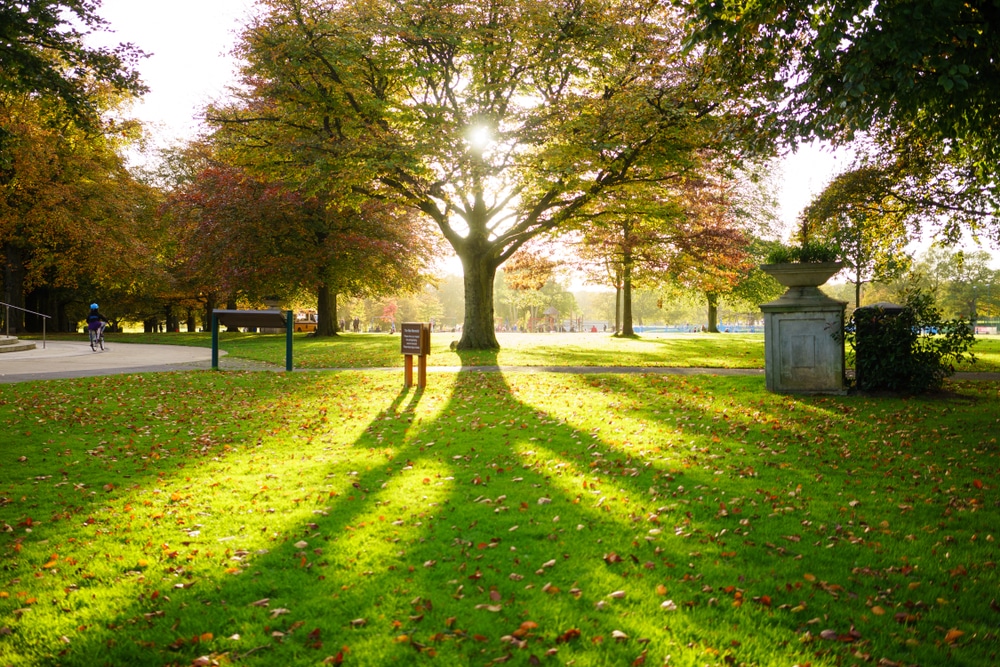 War Memorial Park