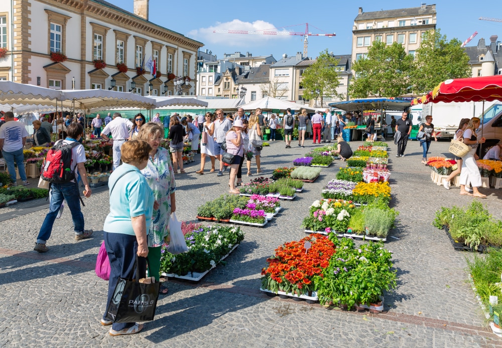 Place Guillaume II