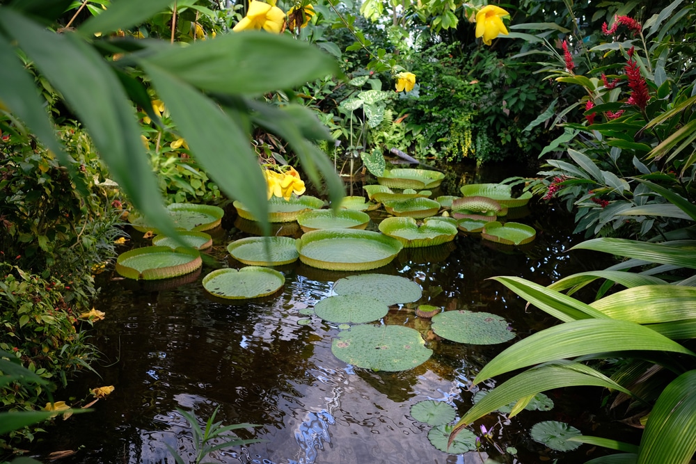 Hanging Gardens