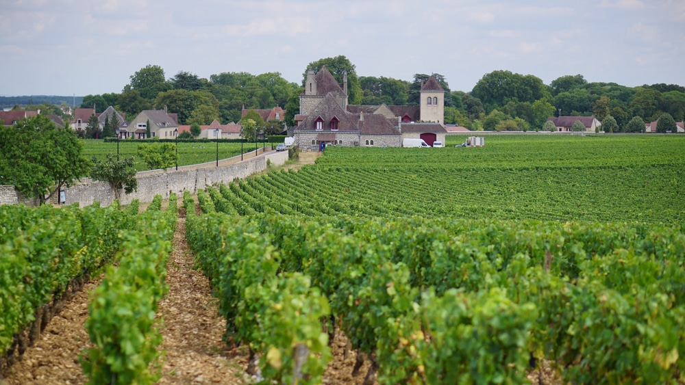 Route des Grands Crus