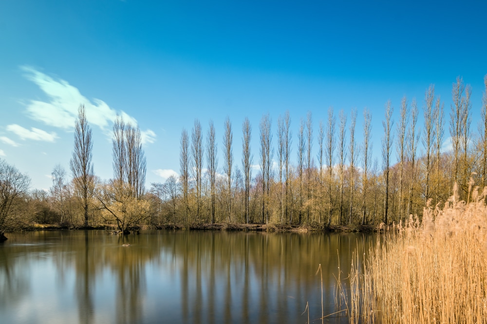 Brandon Marsh Nature Reserve