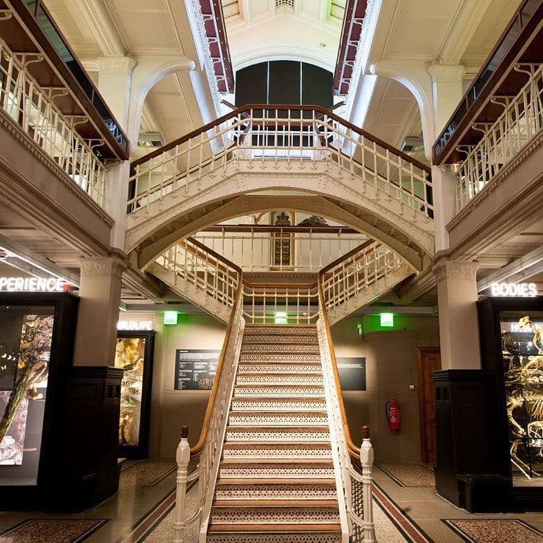 Manchester Museum