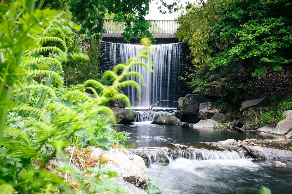 Conservatoire botanique national