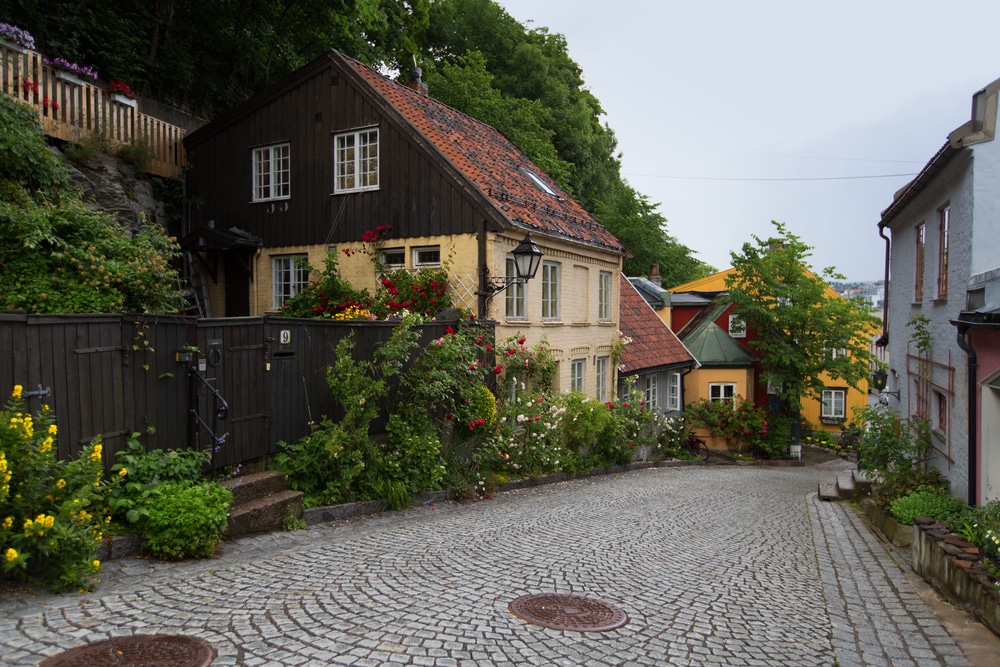 Damstredet & Telthusbakken